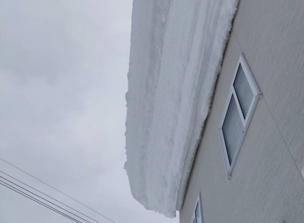 雪害のお問い合わせが増えています。