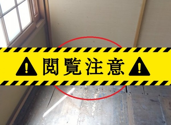 羽アリ?それはシロアリかも