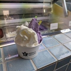 スタッフブログをアップしました
