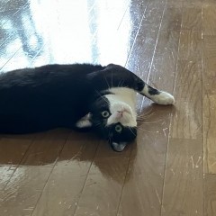 新着ブログ更新！