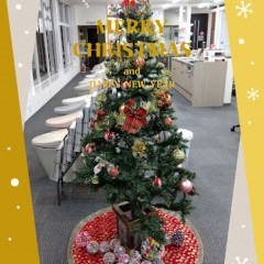 新着ブログ更新！