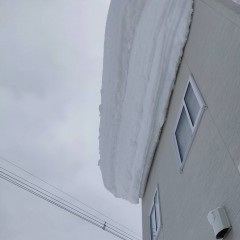 新着ブログ更新！