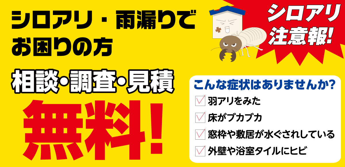 シロアリ相談会