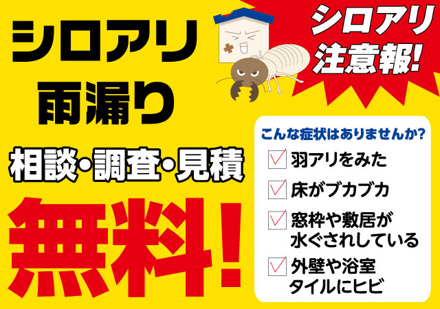 シロアリ相談会